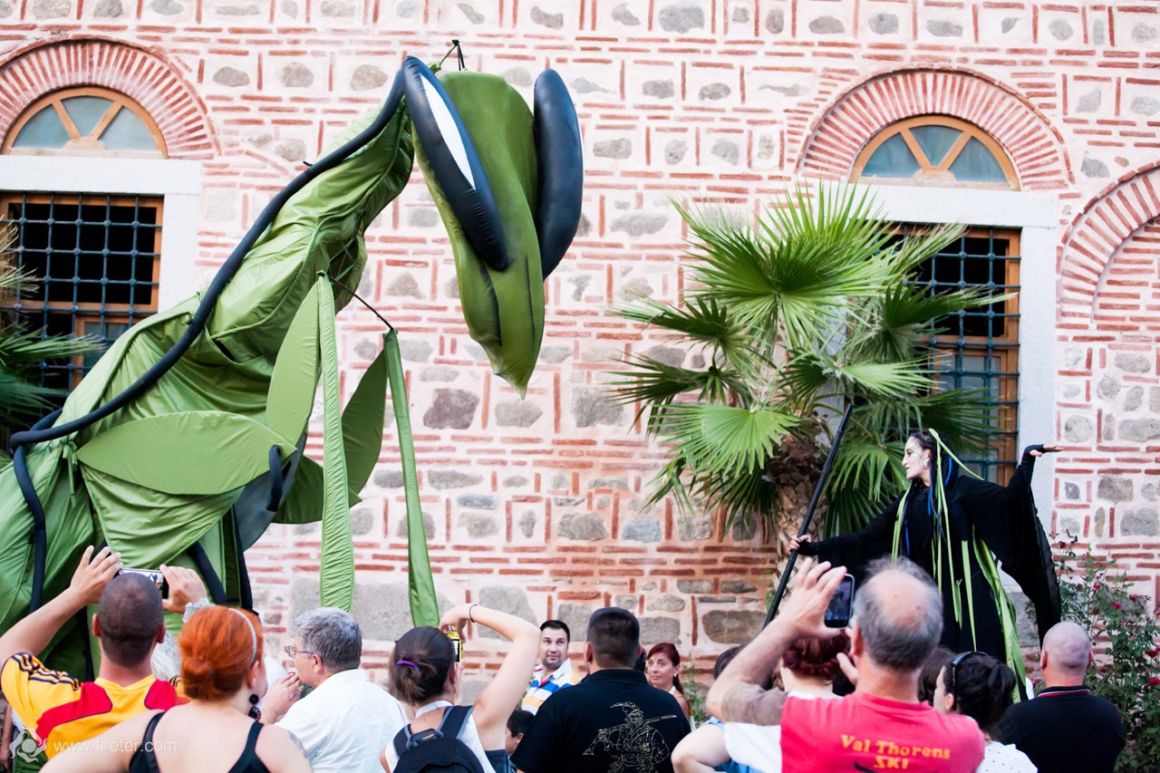 performers at a street show